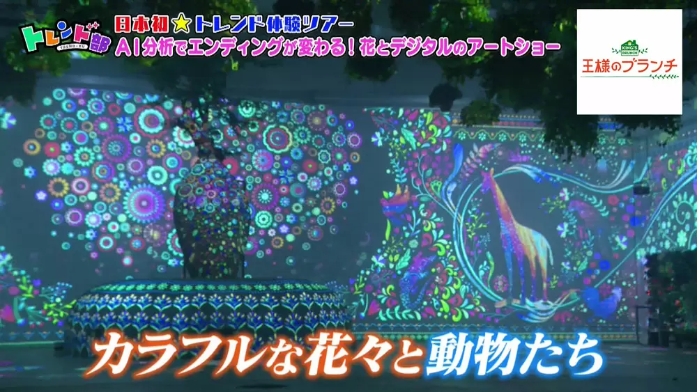 観客の感情でエンディングが変わる映像演出も 新感覚フラワーパーク がスゴい Tbsテレビ