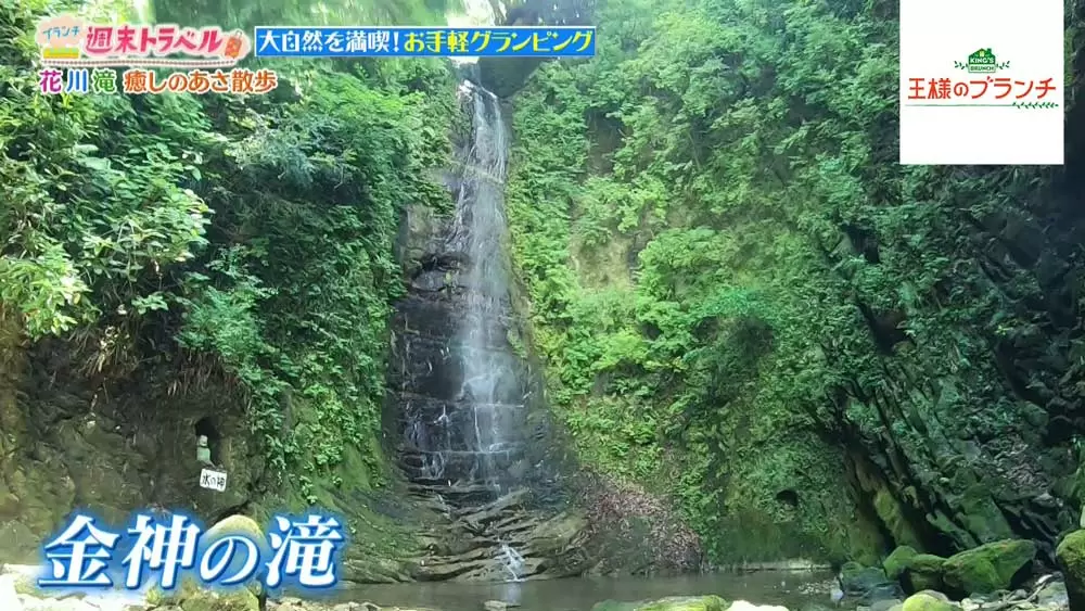 初心者も手ぶらで大自然を満喫 お手軽 グランピング Tbsテレビ