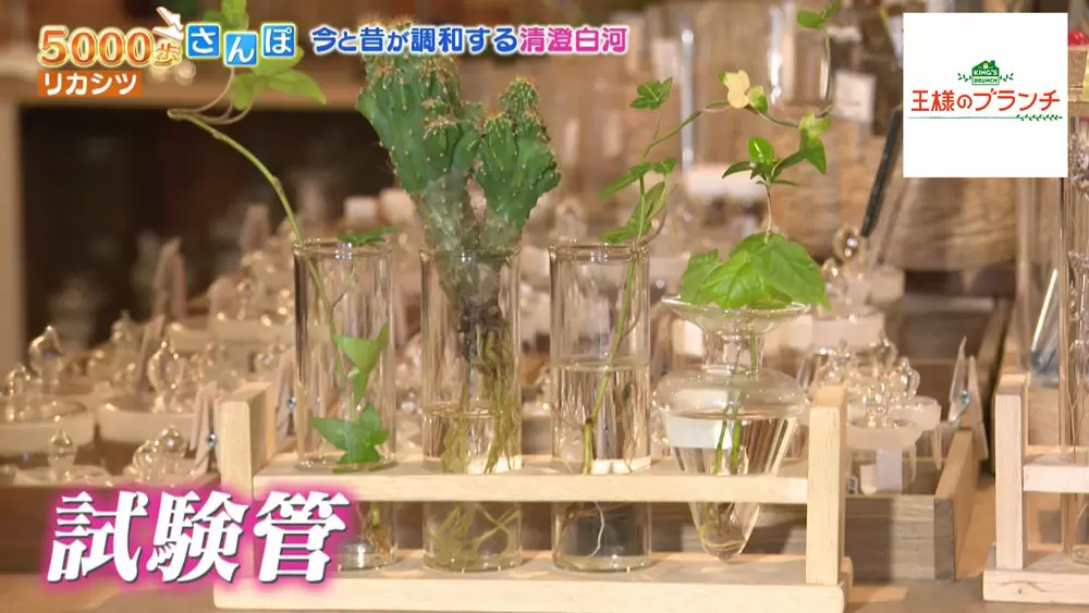 理科で使った実験器具がオシャレなインテリアに、理化学グッズが揃うお