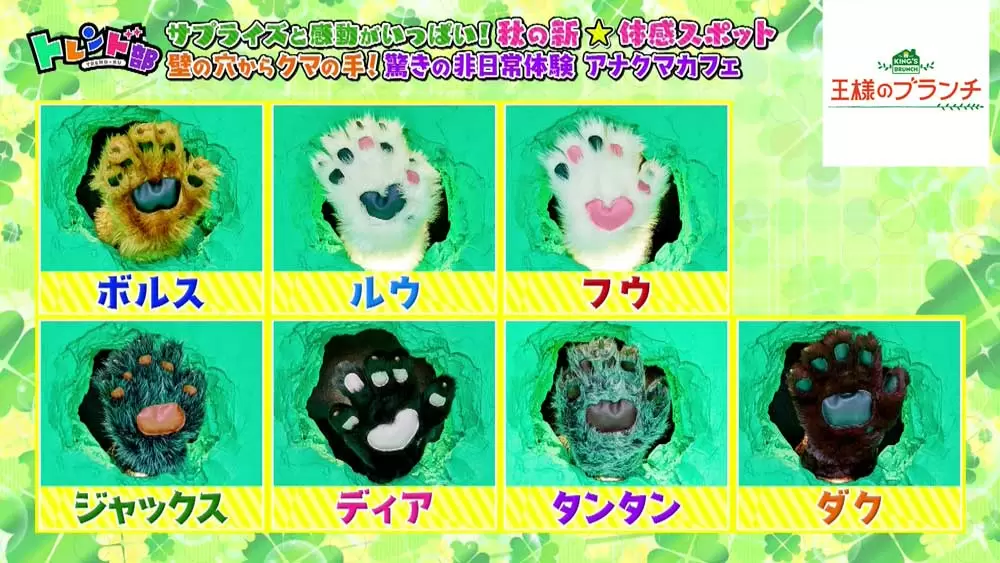 熊の絵　カフェ 壁の穴からモフモフの手！7頭のクマさんが働く「アナクマカフェ」とは