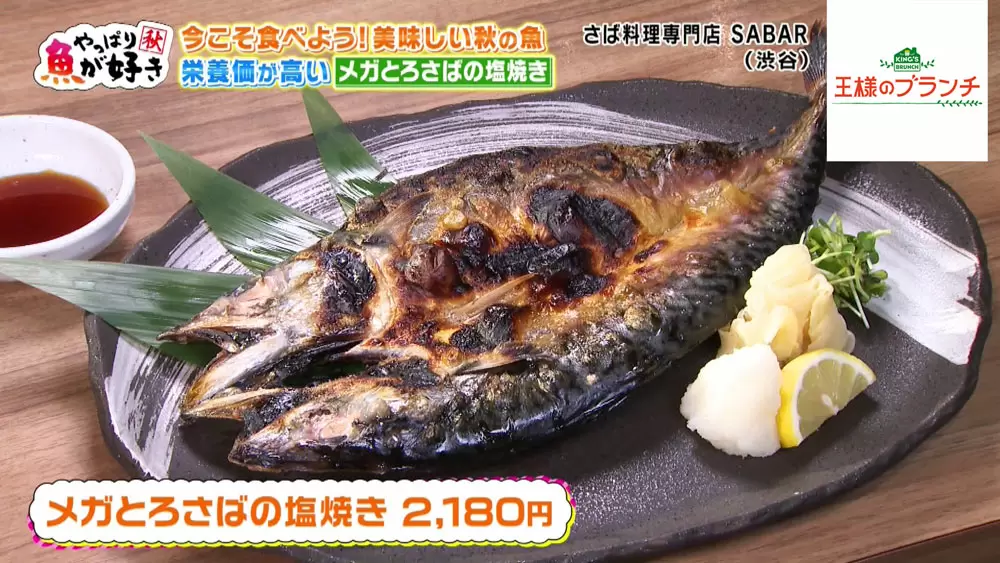 ボリューム抜群の“メガとろさば”に仰天！「旬の魚グルメ」3選
