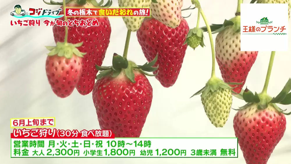 FKD福田屋 YAOYA | 🍓いちごなのに赤くない！？ 栃木県