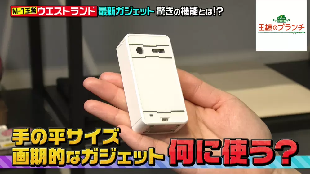 「GeeLaserpad」