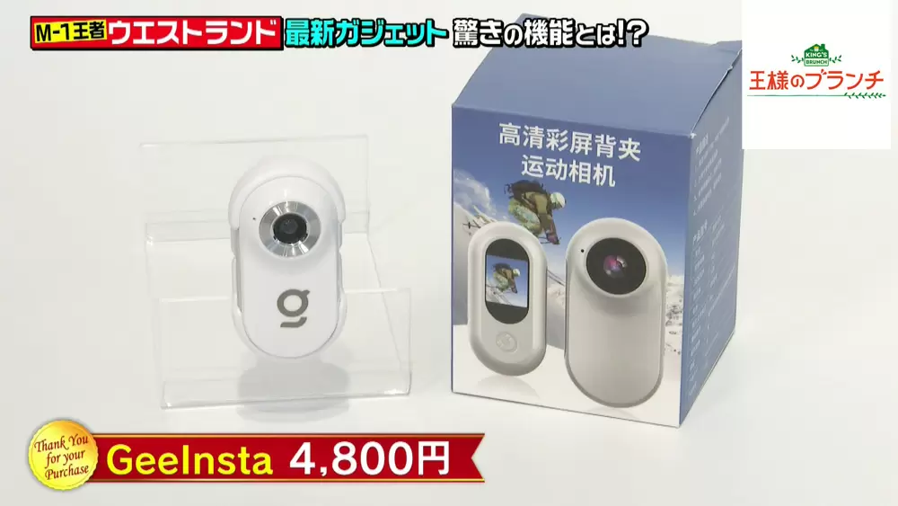 「Geelnsta」
