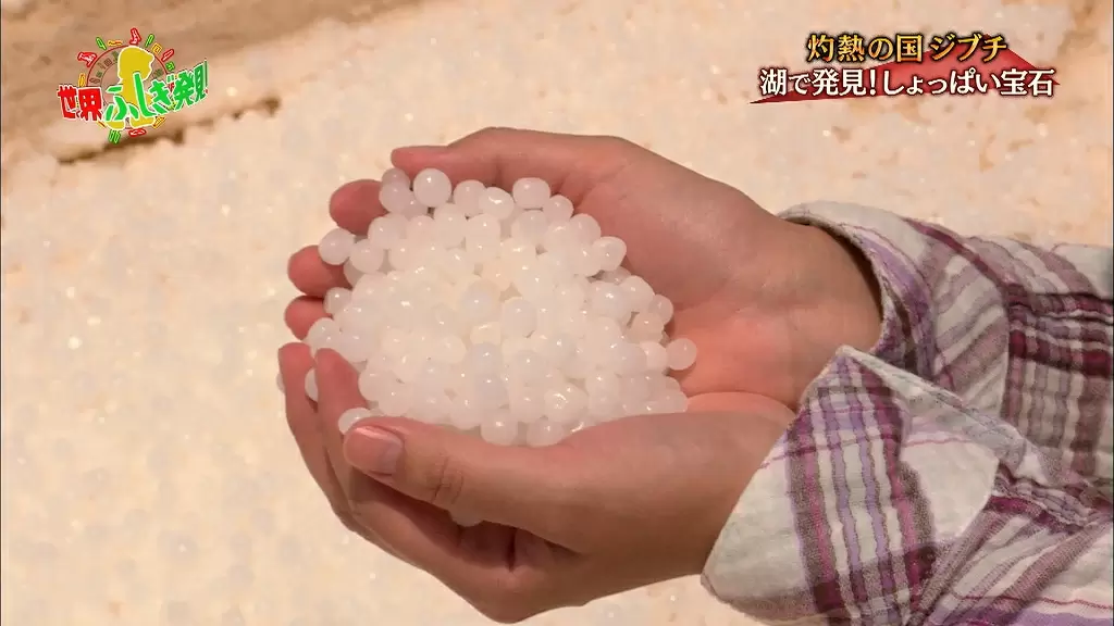 超希少」アッサル湖の塩結晶 大