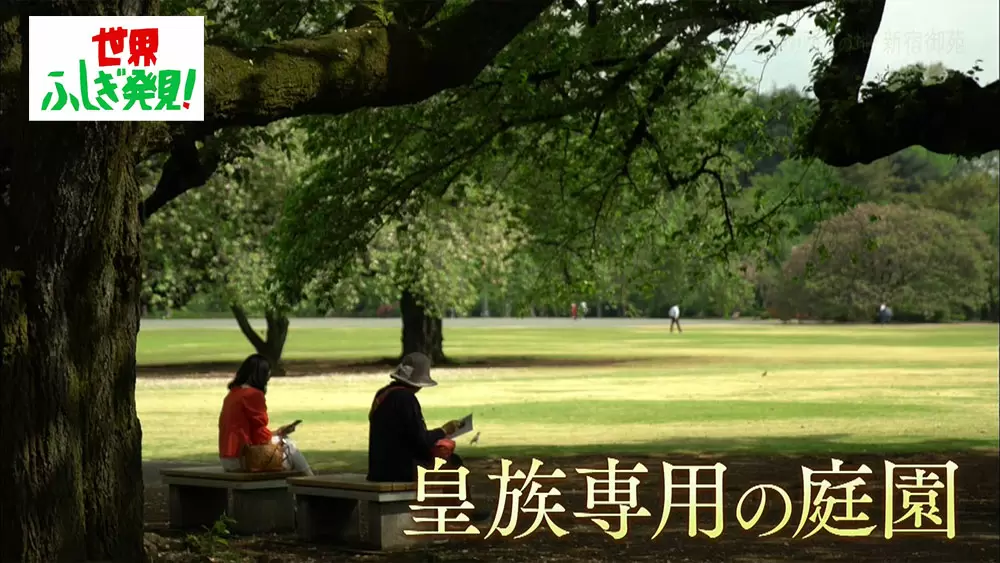 新宿に ゴルフコース があった 新宿御苑の意外な事実 世界ふしぎ発見 Tbsテレビ 新宿に ゴルフコース があった 新宿御苑の意外な事実 世界ふしぎ発見 Tbsテレビ