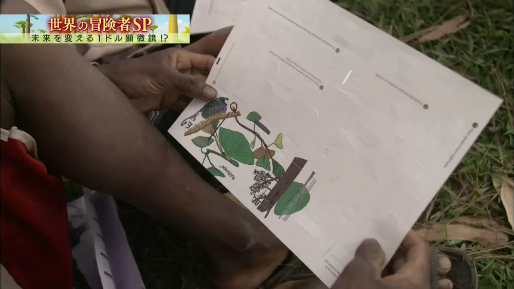 1枚の紙から作られる 折り紙顕微鏡 がスゴイ Tbsテレビ