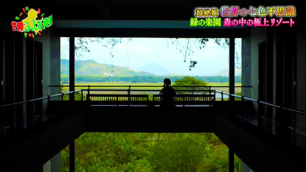 超絶景 まるで森に覆われた美しいリゾートホテル Tbsテレビ 超絶景 まるで森に覆われた美しいリゾートホテル Tbsテレビ