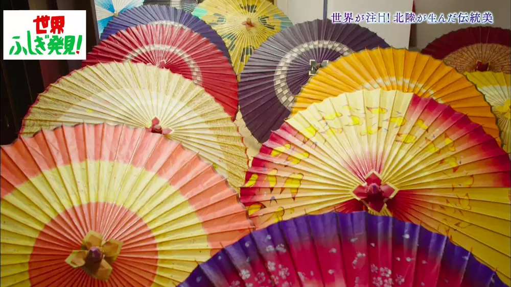 金沢唯一の店が作り出す、雨にも雪にも強い「金沢和傘」とは|TBSテレビ 金沢唯一の店が作り出す、雨にも雪にも強い「金沢和傘」とは|TBSテレビ