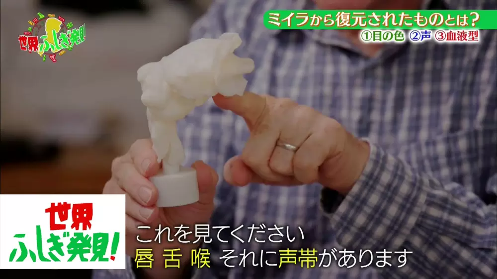 古代エジプトの ミイラの声 を聞くことができる 驚きの最新技術 Tbsテレビ