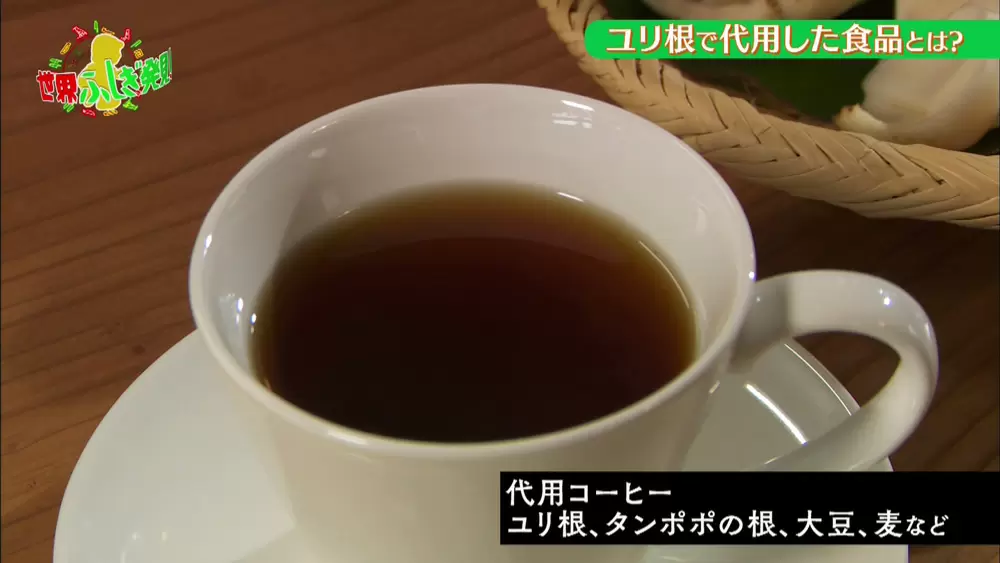 ユリの根 で作ったコーヒーって一体どんなの Tbsテレビ ユリの根 で作ったコーヒーって一体どんなの Tbsテレビ
