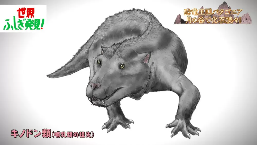 恐竜など太古の化石が続々見つかる 月の谷 とは Tbsテレビ 恐竜など太古の化石が続々見つかる 月の谷 とは Tbsテレビ