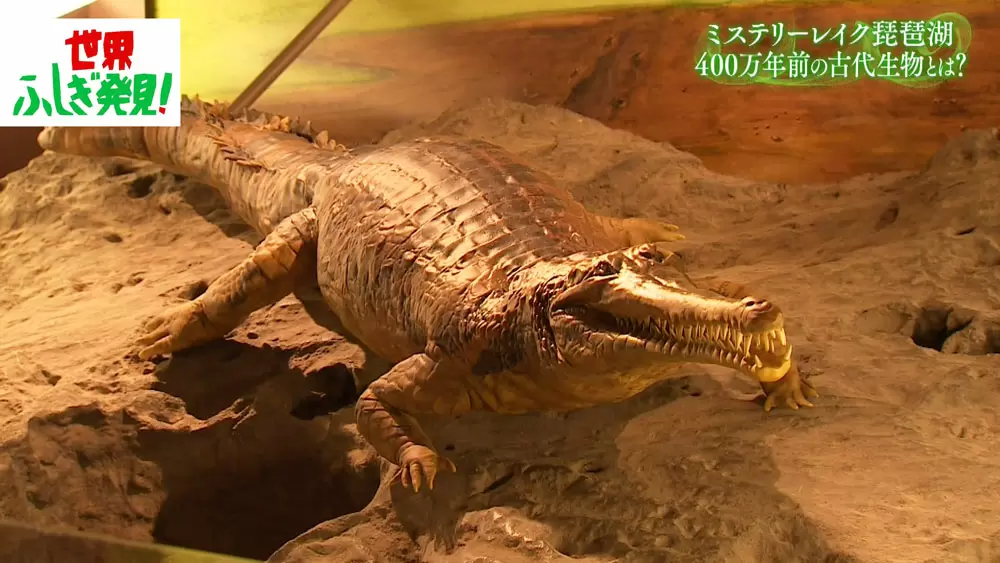 これまでに発見された最大のワニ
