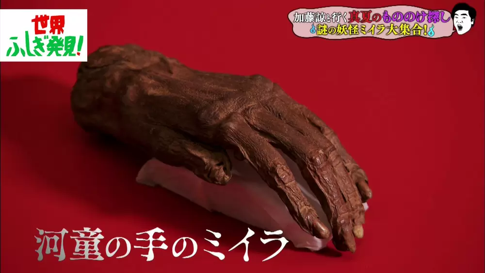 河童の手のミイラ
