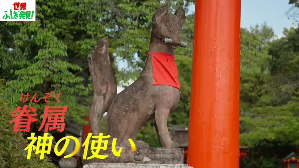 ＊秘境にある稲荷神社に祀られていた狐神様＊ お稲荷さんは狐ではなかった!?意外と知られていない「稲荷神社」の秘密