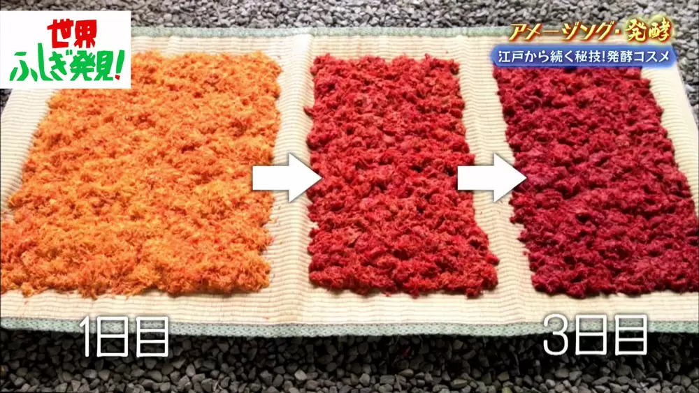 発酵によって、紅花は3日も経てば濃い赤色に