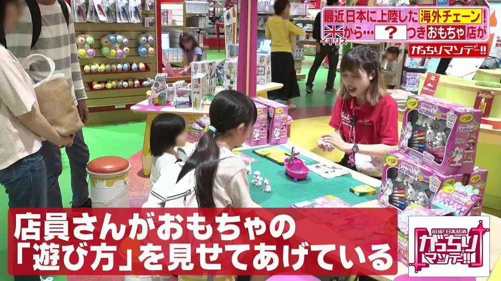 おもちゃ屋さんの中に 遊園地 子どもの楽園 ハムリーズ を知ってる がっちりマンデー Tbsテレビ