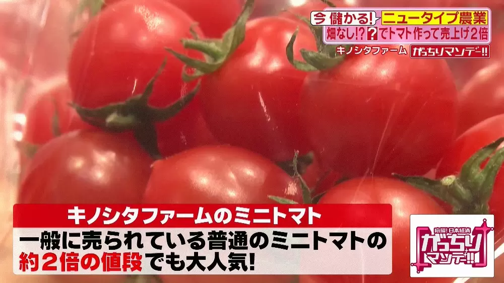 高くても売れるフルーツのように甘いミニトマトとは Tbsテレビ