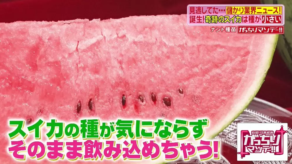 種ごと食べられる奇跡のスイカ ピノ ガール とは Tbsテレビ