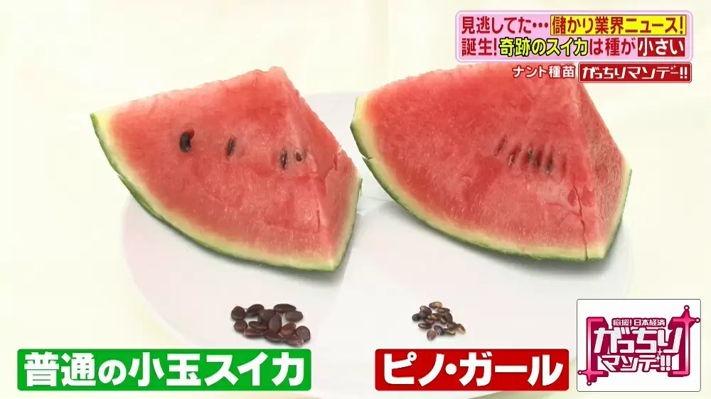 種ごと食べられる奇跡のスイカ ピノ ガール とは Tbsテレビ 種ごと食べられる奇跡のスイカ ピノ ガール とは Tbsテレビ