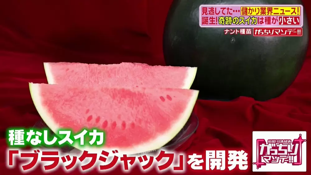 種ごと食べられる奇跡のスイカ ピノ ガール とは Tbsテレビ 種ごと食べられる奇跡のスイカ ピノ ガール とは Tbsテレビ