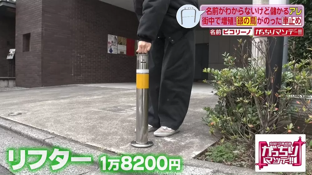車止めの上に 鳥 がついているのはナゼ Tbsテレビ