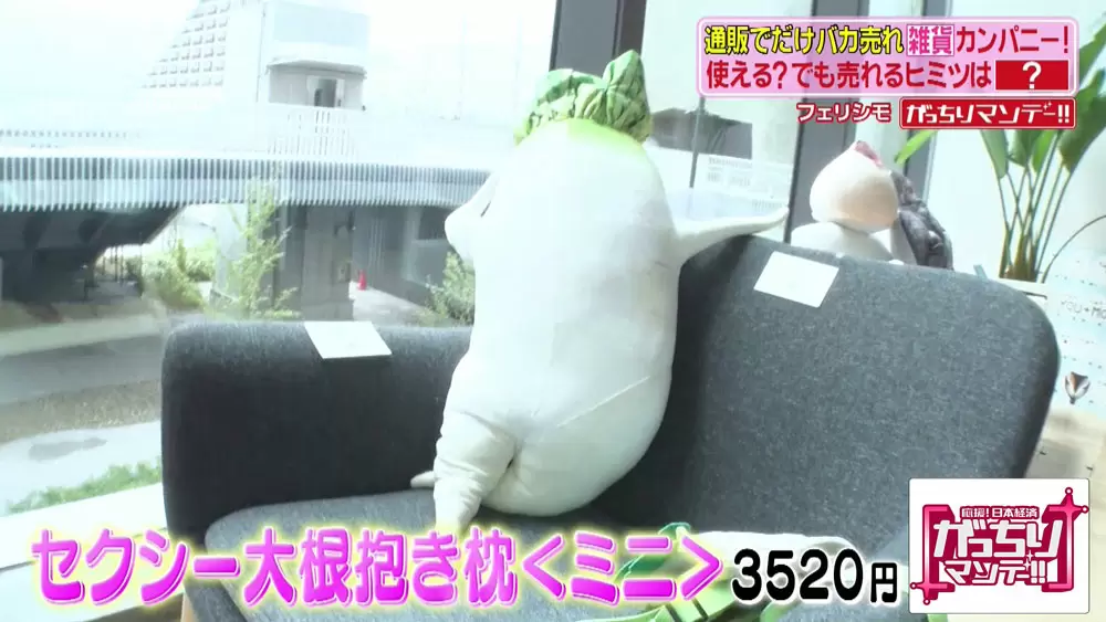 セクシー大根抱き枕 など ユニークな商品で332億円もの年商を叩き出す会社のヒミツ Tbsテレビ