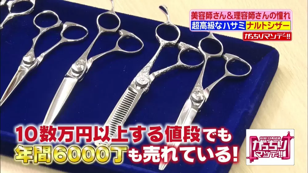 ハサミ界のベンツ ヘアスタイリスト憧れの ナルトシザー Tbsテレビ ハサミ界のベンツ ヘアスタイリスト憧れの ナルトシザー Tbsテレビ