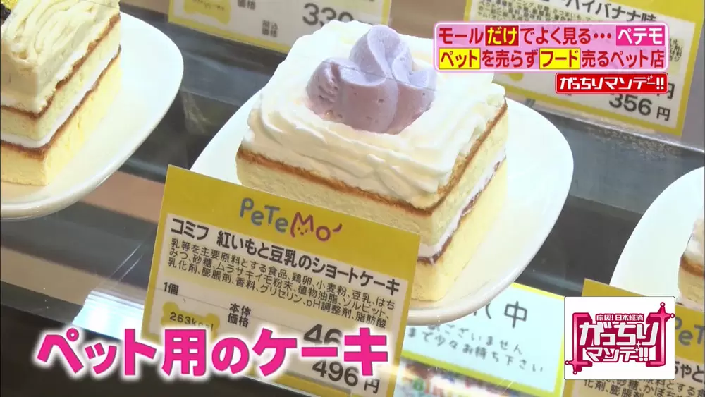 ペットは家族 ペットサービスはここまで進化していた Tbsテレビ