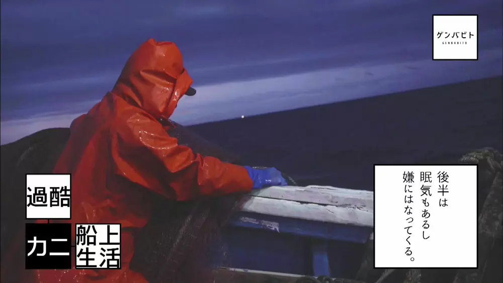 越前ガニで一攫千金 漁師に転職した若者の挑戦 Tbsテレビ