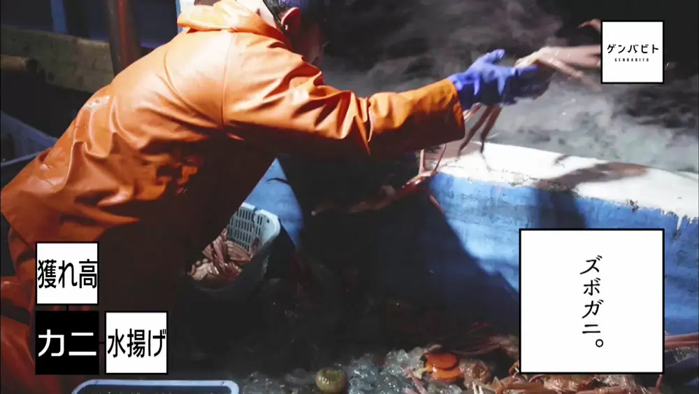 越前ガニで一攫千金 漁師に転職した若者の挑戦 Tbsテレビ 越前ガニで一攫千金 漁師に転職した若者の挑戦 Tbsテレビ