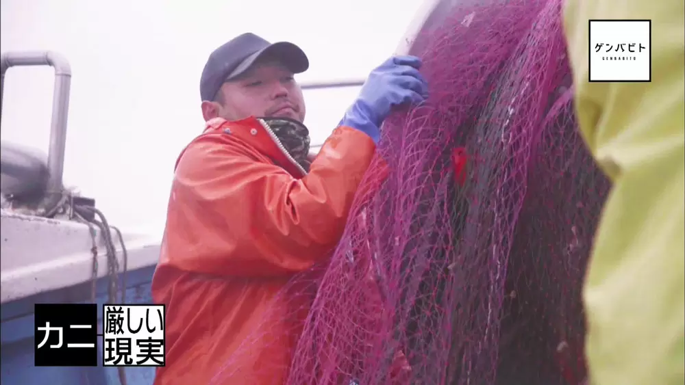 越前ガニで一攫千金 漁師に転職した若者の挑戦 Tbsテレビ