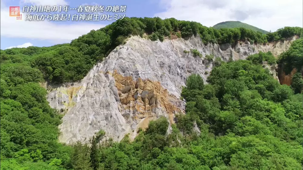 世界遺産 白神山地 山の中で 貝の化石 が見つかっていた Tbs世界遺産 Tbsテレビ 世界遺産 白神山地 山の中で 貝の化石 が見つかっていた Tbs世界遺産 Tbsテレビ