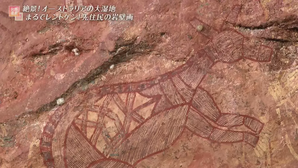 まるでレントゲン写真のような岩壁画が、世界遺産の国立公園に残ってい