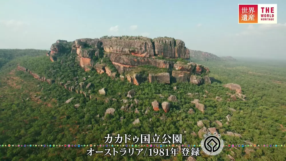 まるでレントゲン写真のような岩壁画が 世界遺産の国立公園に残っていた Tbsテレビ まるでレントゲン写真のような岩壁画が 世界遺産の国立公園に残っていた Tbsテレビ