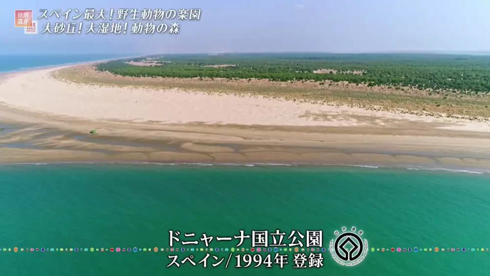 「ドニャーナ国立公園」
