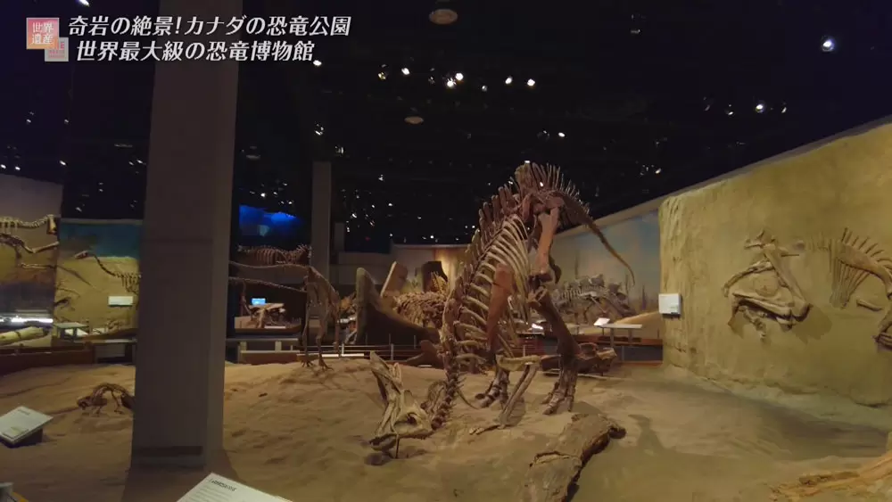 ティラノサウルスの「黒い化石」が見つかった世界遺産「恐竜州立公園