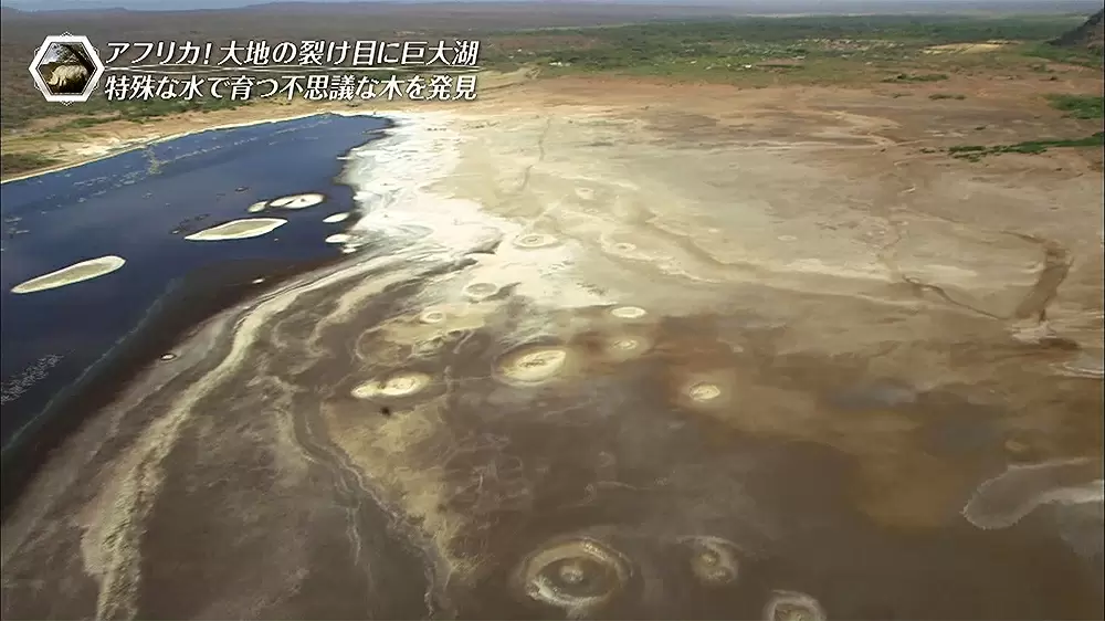 過酷な環境で栄える力強く賢い生態系 ケニアの グレートリーフバレーの湖群 に迫る tbsテレビ