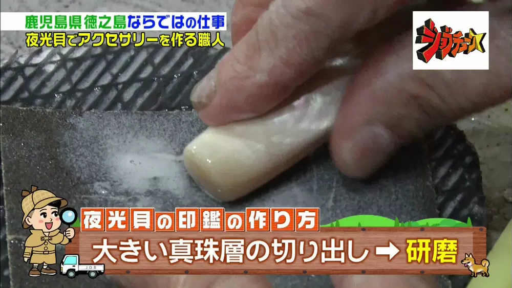 神秘的な夜光貝アクセサリーが超キレイ ふるさと納税の返礼品にも ジョブチューン Tbsテレビ