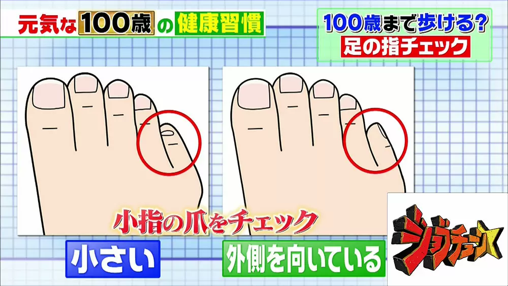 腰痛の原因は 足の指 簡単チェック おすすめ足指ストレッチ ジョブチューン Tbsテレビ 腰痛の原因は 足の指 簡単チェック おすすめ足指ストレッチ ジョブチューン Tbsテレビ