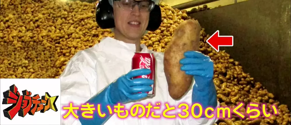 マックフライポテトはなぜ長い 病みつきポテトの秘密に迫る ジョブチューン Tbsテレビ