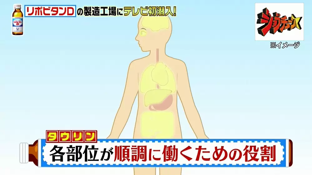リポdって何が入ってるの リポビタンd 3つの疑問 Tbsテレビ リポdって何が入ってるの リポビタンd 3つの疑問 Tbsテレビ