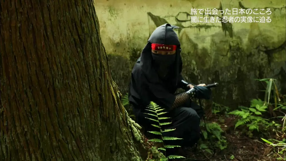 本物の忍者は 戦わない って本当 忍者の実態とは Tbsテレビ 本物の忍者は 戦わない って本当 忍者の実態とは Tbsテレビ