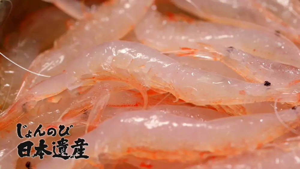 富山湾の宝石 と名高い白えびを味わい尽くす Tbsテレビ 富山湾の宝石 と名高い白えびを味わい尽くす Tbsテレビ