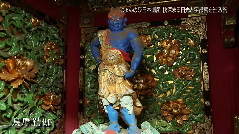 ひざこぞう”という言葉の由来は、「ゾウ」に関係していた？｜TBS