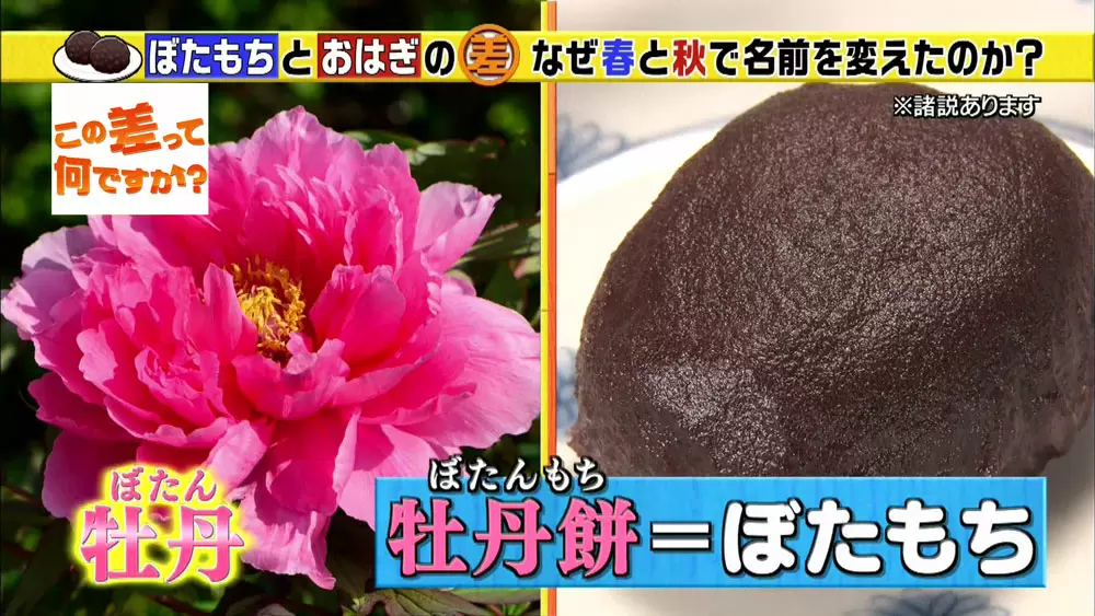 ぼたもち と おはぎ の違い わかりますか Tbsテレビ ぼたもち と おはぎ の違い わかりますか Tbsテレビ