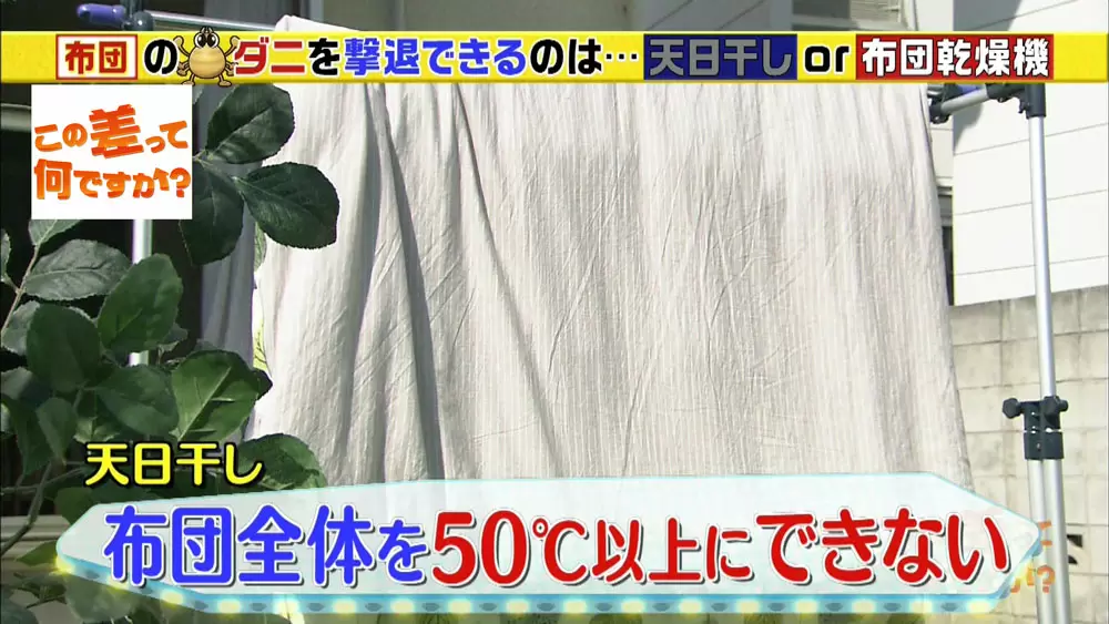 天日干しは効果なし 正しいダニの撃退法 Tbsテレビ 天日干しは効果なし 正しいダニの撃退法 Tbsテレビ