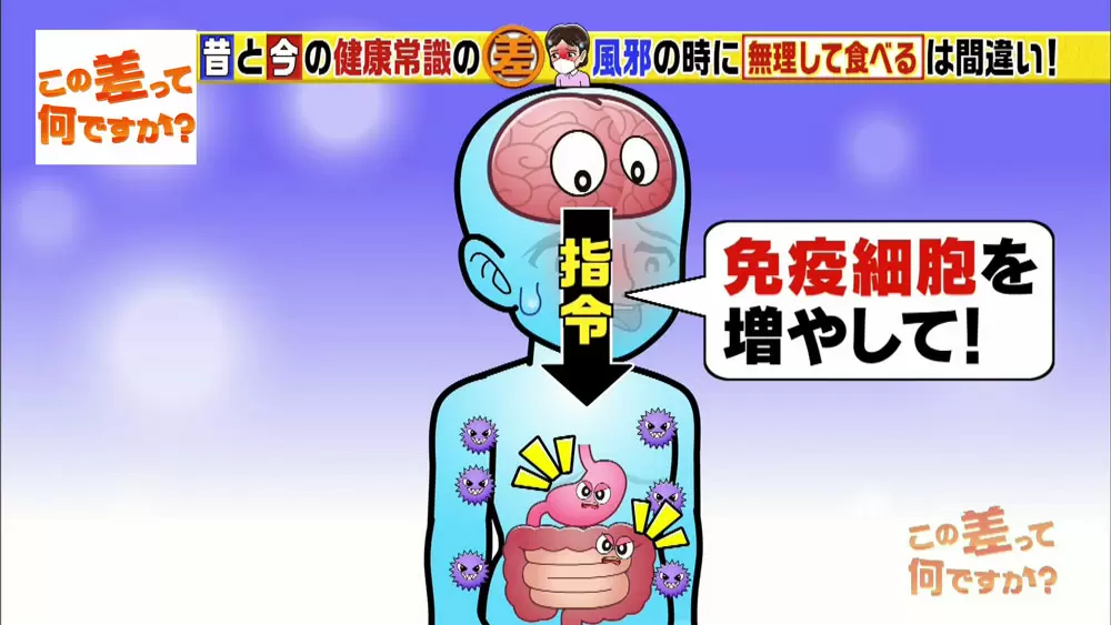 風邪対策の新常識 食べないと治らない はホント この差って何ですか Tbsテレビ 風邪対策の新常識 食べないと治らない はホント この差って何ですか Tbsテレビ