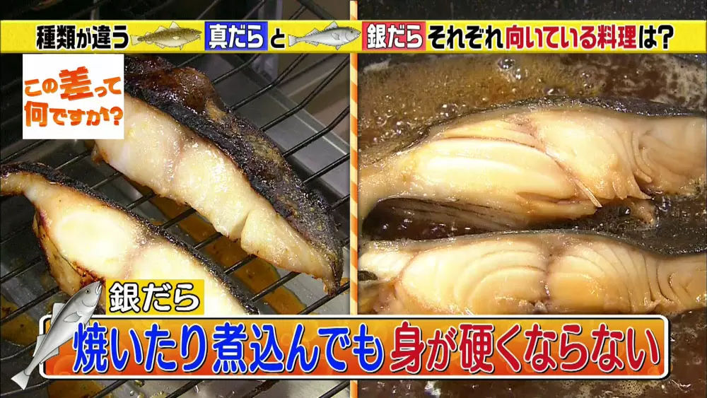 深海魚も混じってます】4つの「たら」の違いを徹底解説|この差って何 