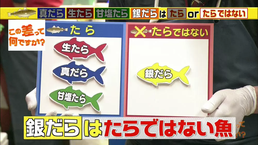 深海魚も混じってます 4つの たら の違いを徹底解説 この差って何ですか Tbsテレビ 深海魚も混じってます 4つの たら の違いを徹底解説 この差って何ですか Tbsテレビ